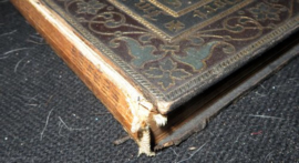 Die Heilige Schrift des Alten und Neuen Testaments 1892