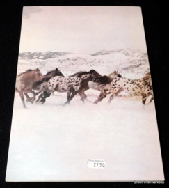 De Appaloosa - Het Nez Perce paard