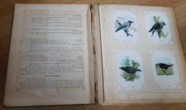 Tiktak Plaatjesalbum - Vogel-Album 1926