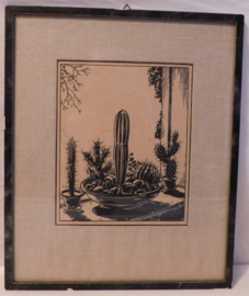 Cactussen, Cornelis Rol ca. 1930, houtsnede