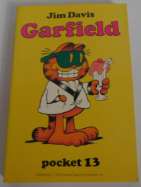 Garfield Pocket 13