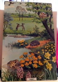 Schoolkaarten, Serie: Callograph Nature Wall Pictures