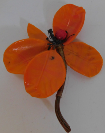 Vier glazen curiosa bloemen.