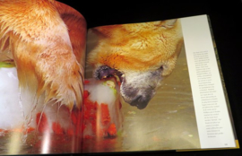 Animal affairs, fotoboek.