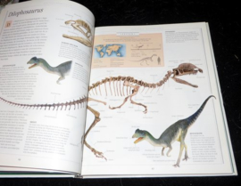 Complete dinosauriër boek