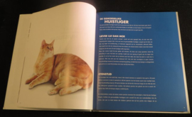 Katten en hun Karakters