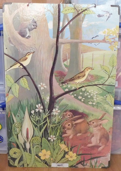 Schoolkaarten, Serie: Callograph Nature Wall Pictures