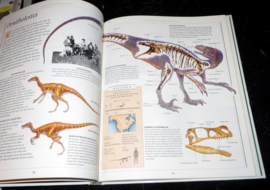 Complete dinosauriër boek