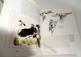 Vogelalbum door Marjolein Bastin en Frans Buissink