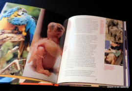 n Metamorfose, 60 jaar Noorder Dierenpark Emmen
