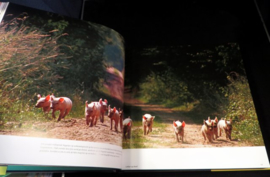 Animal affairs, fotoboek door Heidi en Hans-Jurgen Koch