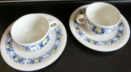 Villeroy & Boch 'Cadiz' kop & Schotel.