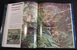 Tuinvijvers En Waterpartijen