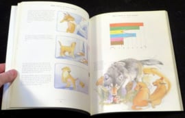 Wat denkt mijn hond van mij?