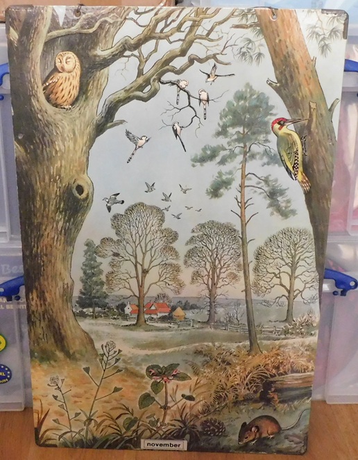 Schoolkaarten, Serie: Callograph Nature Wall Pictures