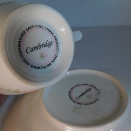Cambridge Kop en Schotel