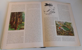 Zo leeft de Hoge Veluwe - Plaatjesalbum + extra plaatjes