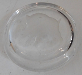 Everzwijn opdruk in relief van glas
