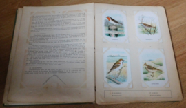 Tiktak Plaatjesalbum - Vogel-Album 1926
