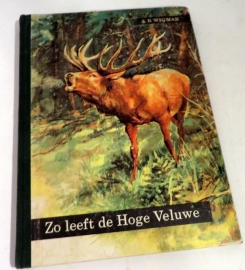 Zo leeft de Hoge Veluwe