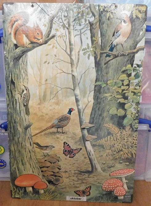 Schoolkaarten, Serie: Callograph Nature Wall Pictures