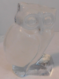 Massieve persglazen Uil