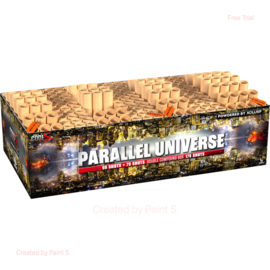 PARALLEL UNIVERSE