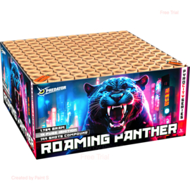 ROAMING PANTHER