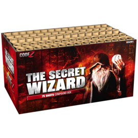 THE SECRET WIZARD