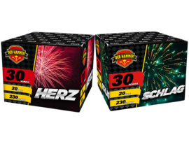HERZ-SCHLAG