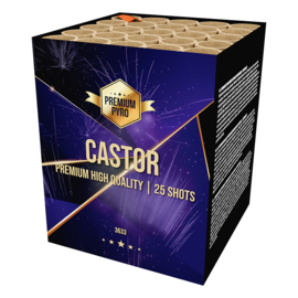 CASTOR