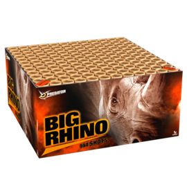 BIG RHINO