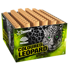 COLOURED LEOPARD