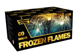 FROZEN FLAMES