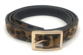 Riem Leopard