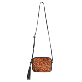 The icon leopard | Oranje