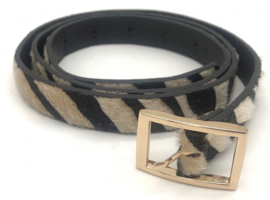 Riem Zebra