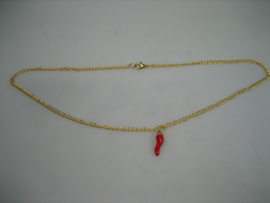 Gourmet ketting met Chili Peper hanger | Antiekjuwelier | Uit Eigen Import