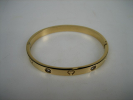 Moderne 18K Italiaanse Goud double kleurige vergulde slavenarmband