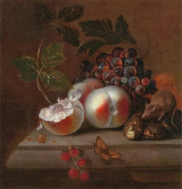 Stilleven door Willem van Aelst 1627-1683 uit een Privé verzameling