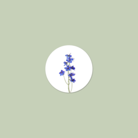 Sluitzegel Delphinium (15 stuks)