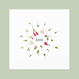 Anne