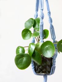 Macramé plantenhanger - Babyblauw