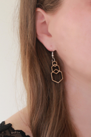 Wooden earrings Hexagon