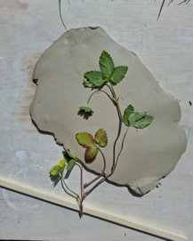 Moederdag special workshop bloemen tegels en plankjes - 9 mei 14:00-16:00 Veenendaal