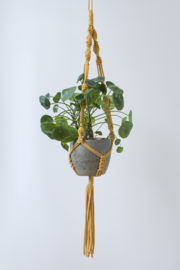 Macramé plantenhanger - Oker (geel)