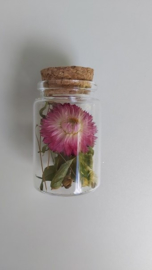 Flesje droogbloemen