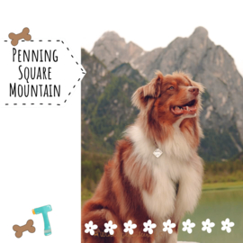 Square Paw Mountain penning | 27mm | 1.5