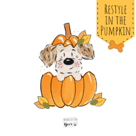 In the Pumpkin | 1 hondje