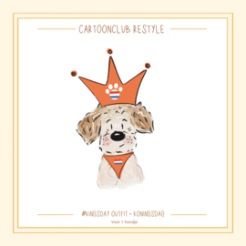 Kingsday outfit | 1 en 2 hondjes Restyle